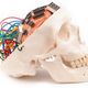 Illustration for article titled How Electronic Engineers Are Helping Us Unravel The Human Brain